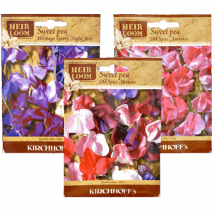 Kirchhoffs Sweet Pea Heirloom Seeds