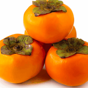 Persimmon Izu