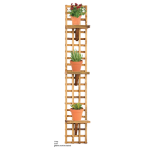 Wooden Wall Rack