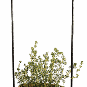 Metal Hanging Pot Holders