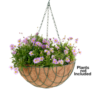 Traditional Basket (Basket + Liner)