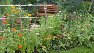 Companion planting solutions to boost harvests naturally