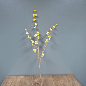 Forsythia Spray 118cm