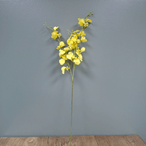 Dancing Orchid Yellow Butterfly