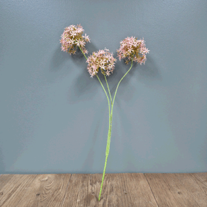 Silk-Allium 65cm