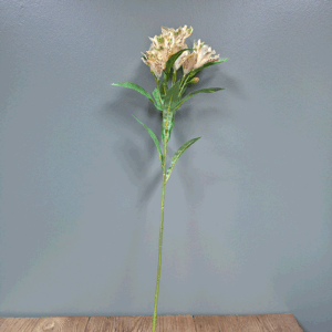 Lilly Lime Lush 80cm