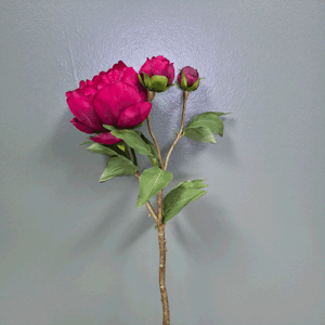 Silk Peony Flower 49cm