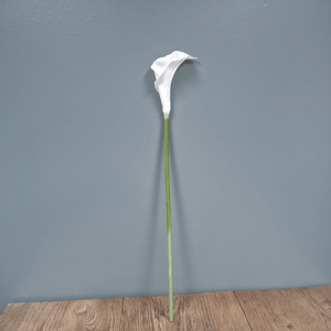 Calla Lily Single white 63cm