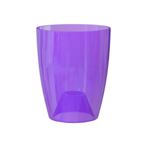 Pot Fiji Orchid