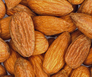 Almond 'Nonpariel'