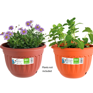 Baba Wall Pots