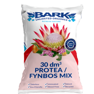 Protea Fynbos Mixed
