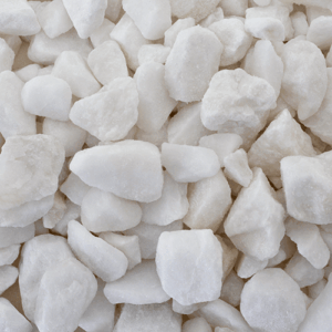 Snow White Chip
