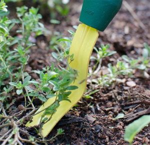 Garden Daisy Grubber