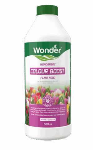 Wondersol Colourboost 500ml