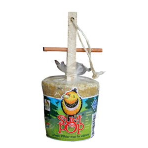 Elaine's Suet Pop
