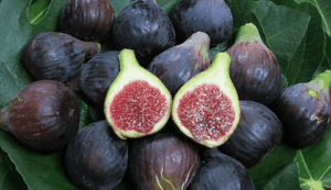 Fig 'Col de Dame Noir'