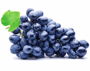 Grape Autumn Royal