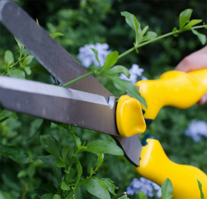 Kudu Horn Hedge Shears