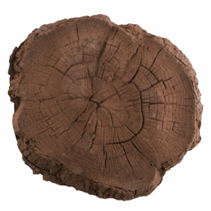 Culterra Log Paver Round