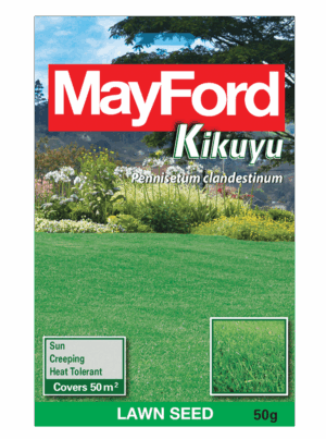 Mayford Kikuyu Lawn Seed