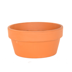 Pan Mini Vaso Bulb