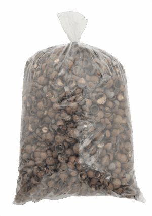Macadamia Nut Shell