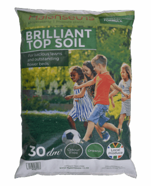Malanseuns Brilliant Top Soil