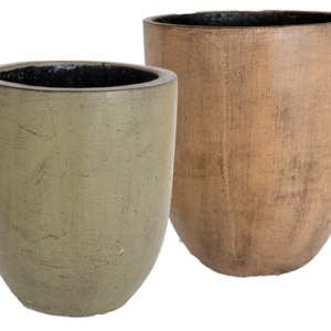 Pot Thai