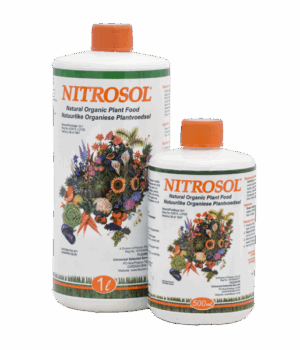 Nitrosol