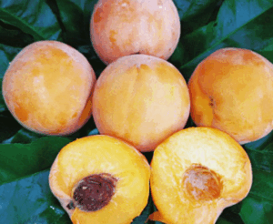 Peach Kakamas