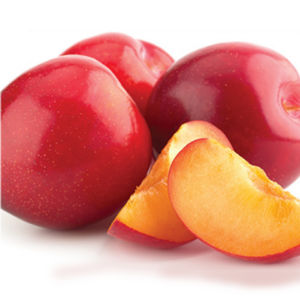 Plum 'Harry Pickstone'