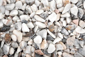 Polar White Smarties