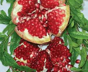 Pomegranate 'Shivah' 19cm