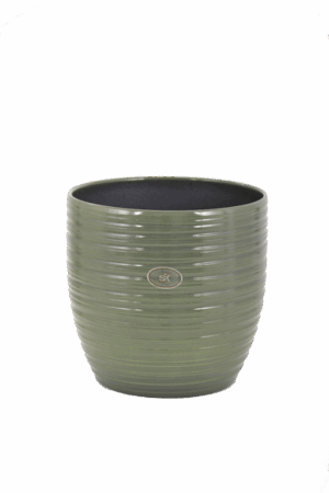 Pot Bergamo