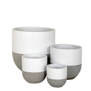 Pot Ivory