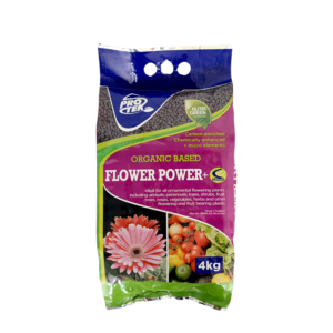 Flower Power
