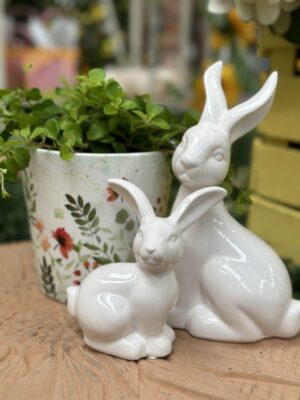 Easter Pot Plant Bunnies