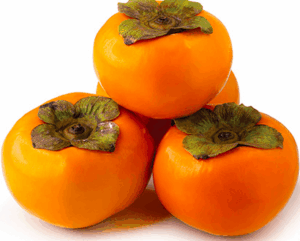 Persimmon Izu