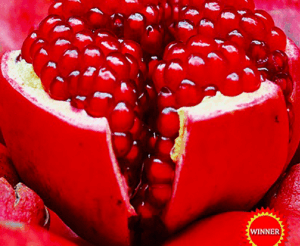 Pomegranate Wonderful