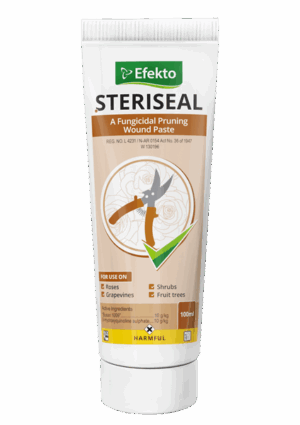 Steriseal