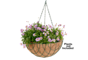 Traditional Basket (Basket + Liner)