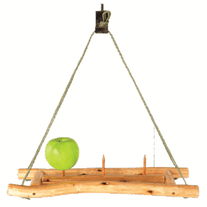 Triple Hanging Fruit Feeder