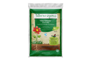 Vita Green 5:1:5