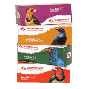 Suet Snack Balls (3-pack)