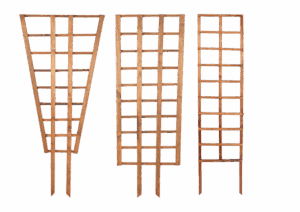 Wild Ways Self-Staking Trellis