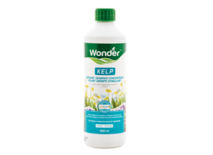 Wonder Kelp