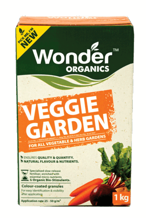 Veggie Garden