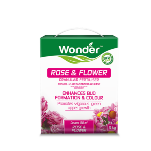 Rose & Flower 8:1:5