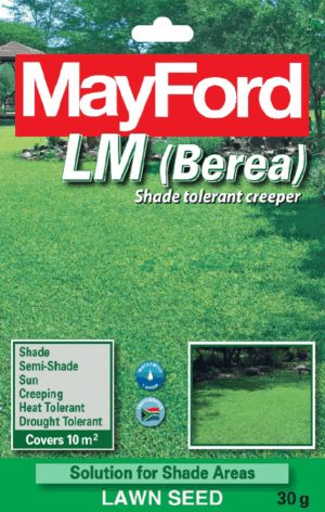Mayford LM/Berea Lawn Seed 30g